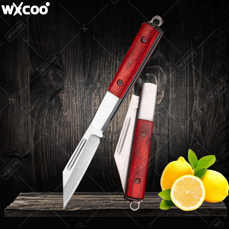 Stainless Steel Pocket Knife R - đánh giá và giá Gaming Kitchen Accessories