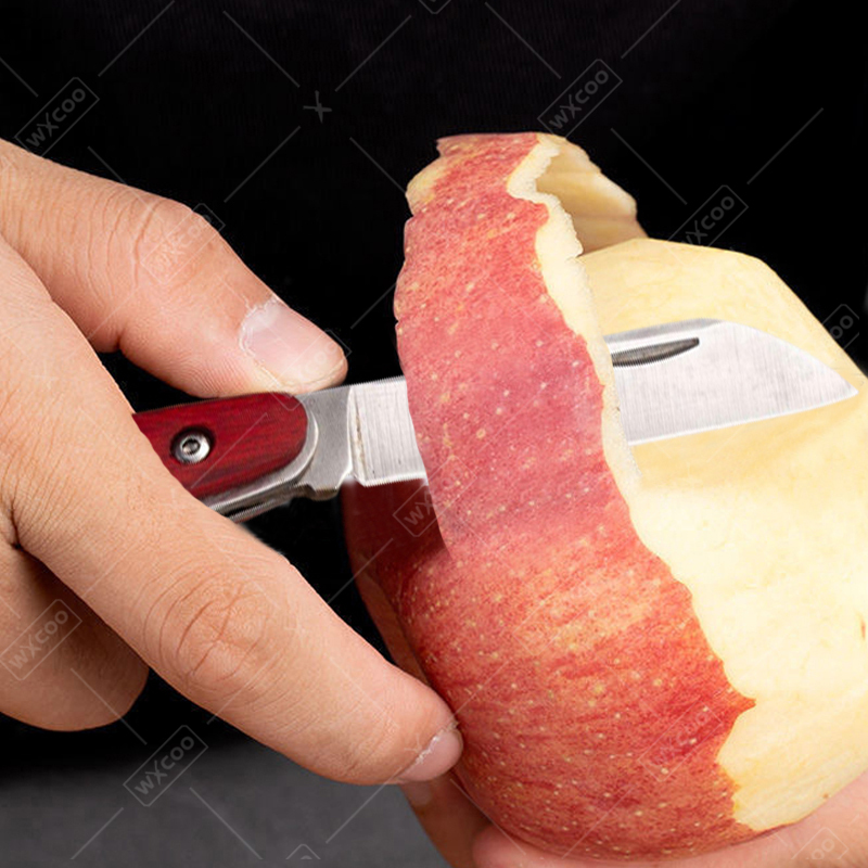 Stainless Steel Pocket Knife R - đánh giá và giá Gaming Kitchen Accessories